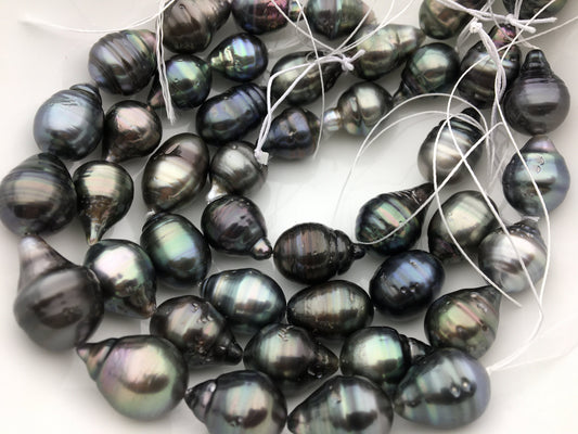 11-13mm Big Drop Tahitian Pearl Leather Necklace, Black Pearl, Black Leather Pearl necklace, Le11-031