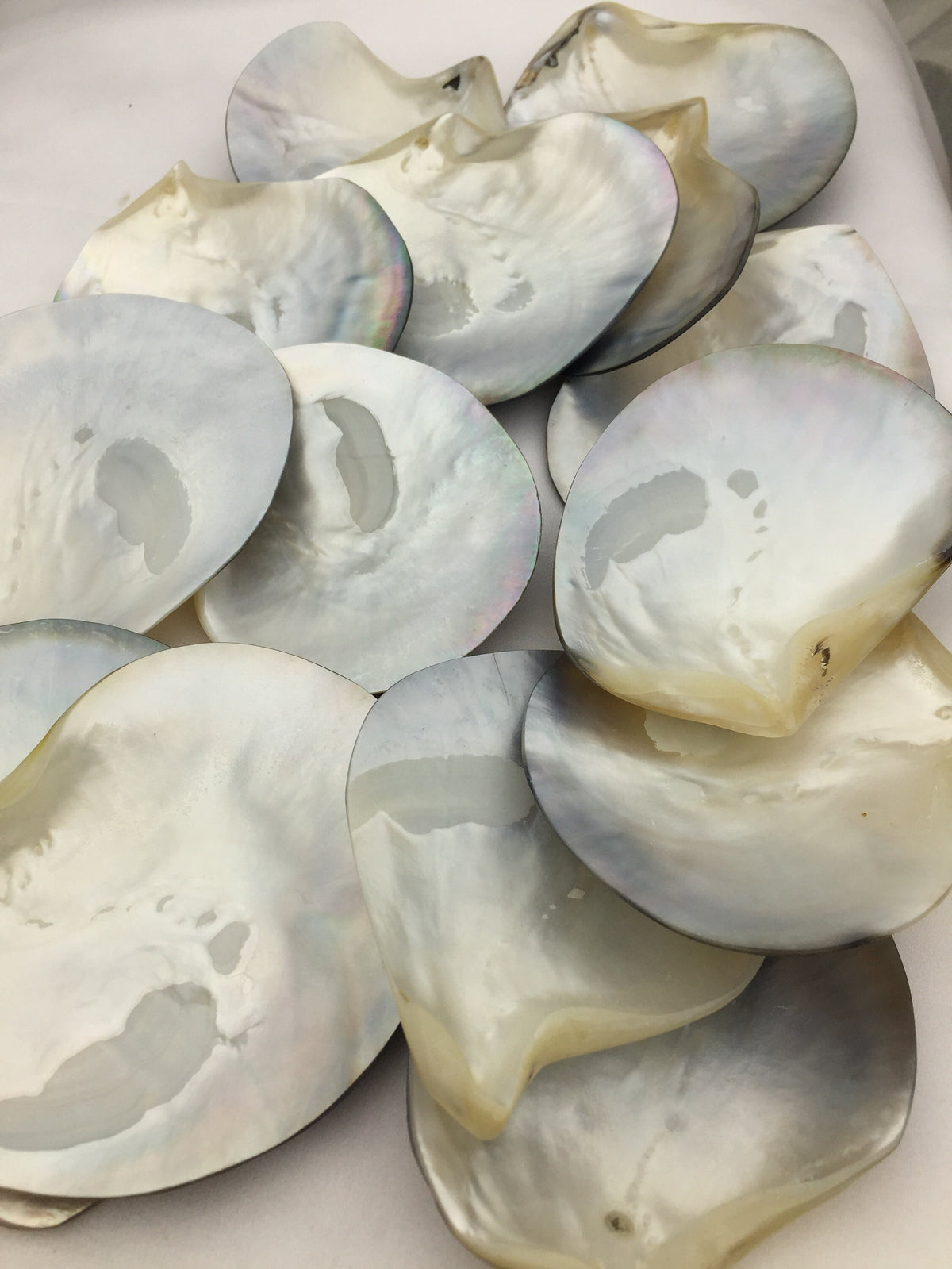 AAA big than 9cm Tahitian blacklip mother of pearl shell natural cut,One pc,tahitian Oyster,ASH-006-2