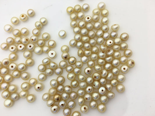 30pcs AAA 5-5.5mm light yellow button round freshwater pearl,0.9mm half hole,BTN5-T2
