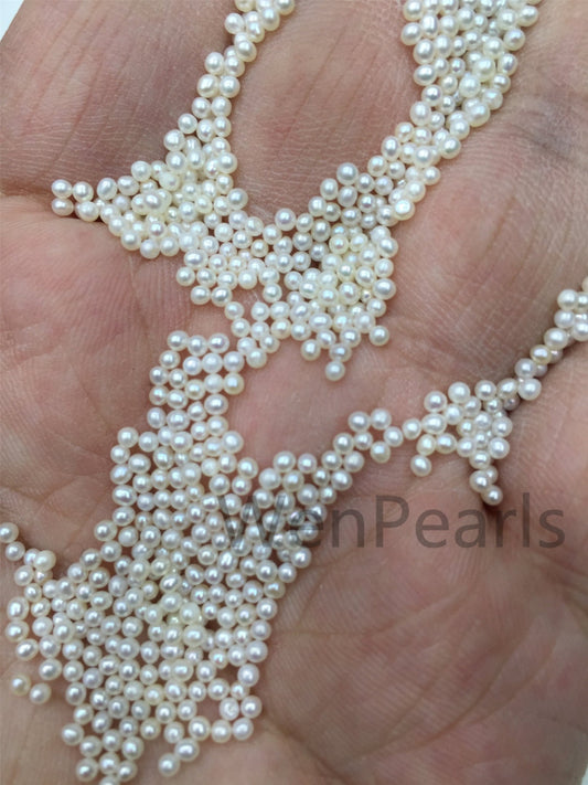 AAA 1.8-2mm white seed near round freshwater pearls,no hole,Select Quantity,tiny pearl supply,GOOD QUALITY,RP1-3A-3
