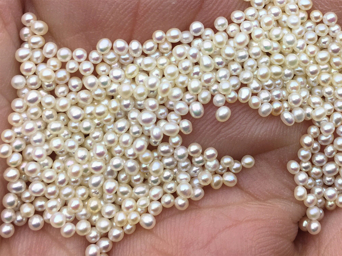 10pcs AAA 1.5-1.8mm white near round freshwater seed pearls, no hole, Cultured pearl, diy pearl beads, RP1-3A-8