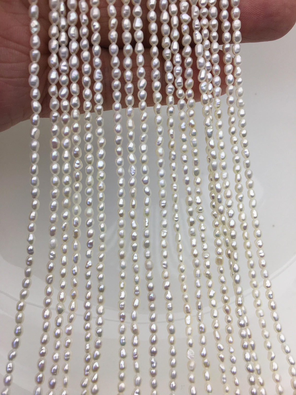 AA+ 2.5-2.8*3-4mm white rice pearls, oval loose pearl beads, diy pearl, genuine pearl, Cultured pearl, diy pearl beads, LR2-2A-1