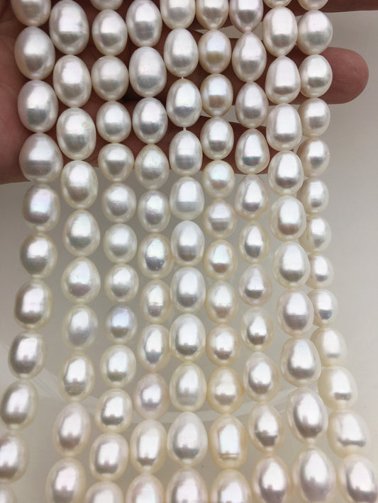 AA+ 9.4-10.4mm*11.5-13mm Oval Freshwater pearls,diy pearl beads,white rice pearl,LR10-2A-7