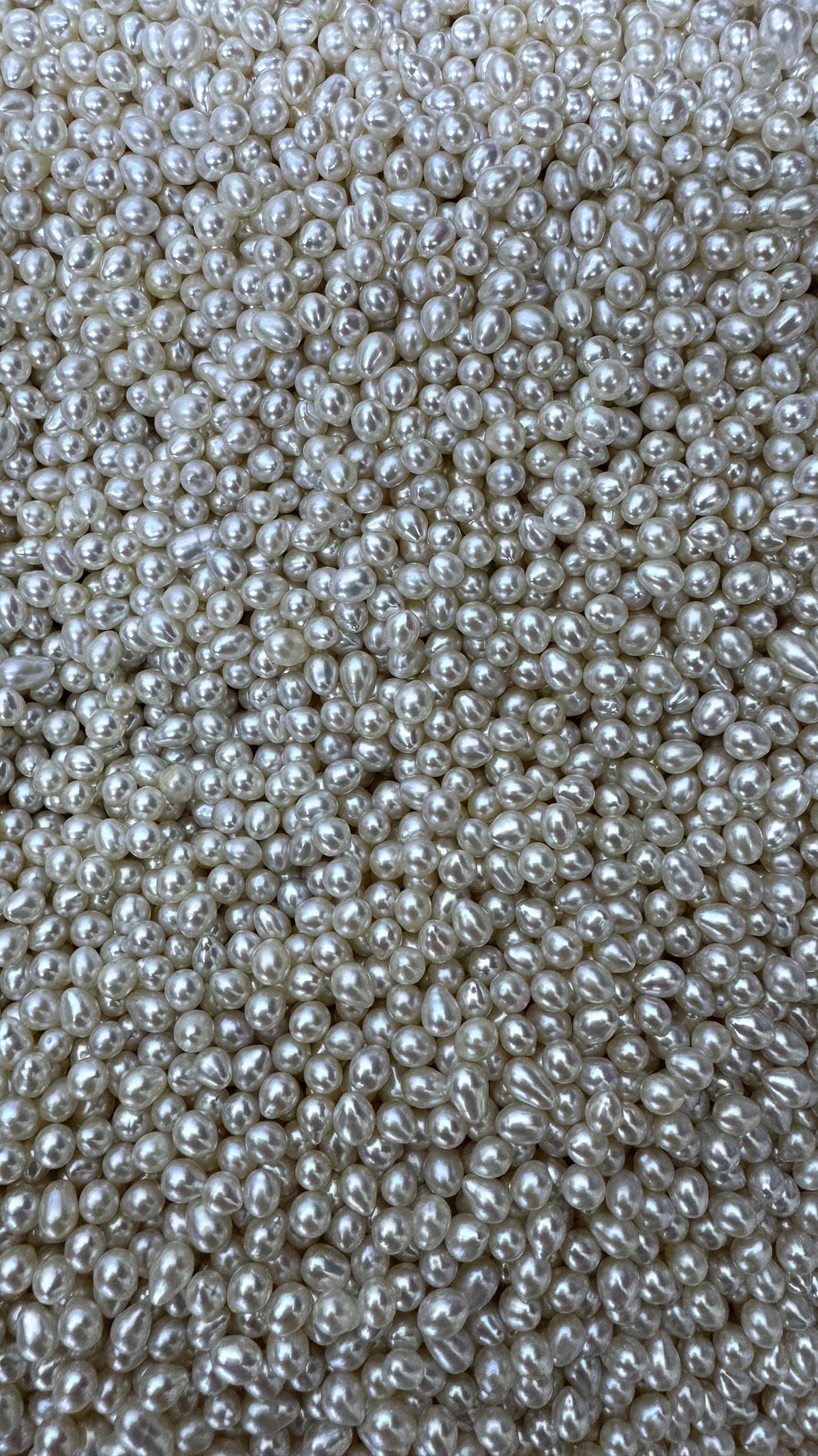 50pcs AAA 4-5mm white rice freshwater pearls,no hole,LR4-T5