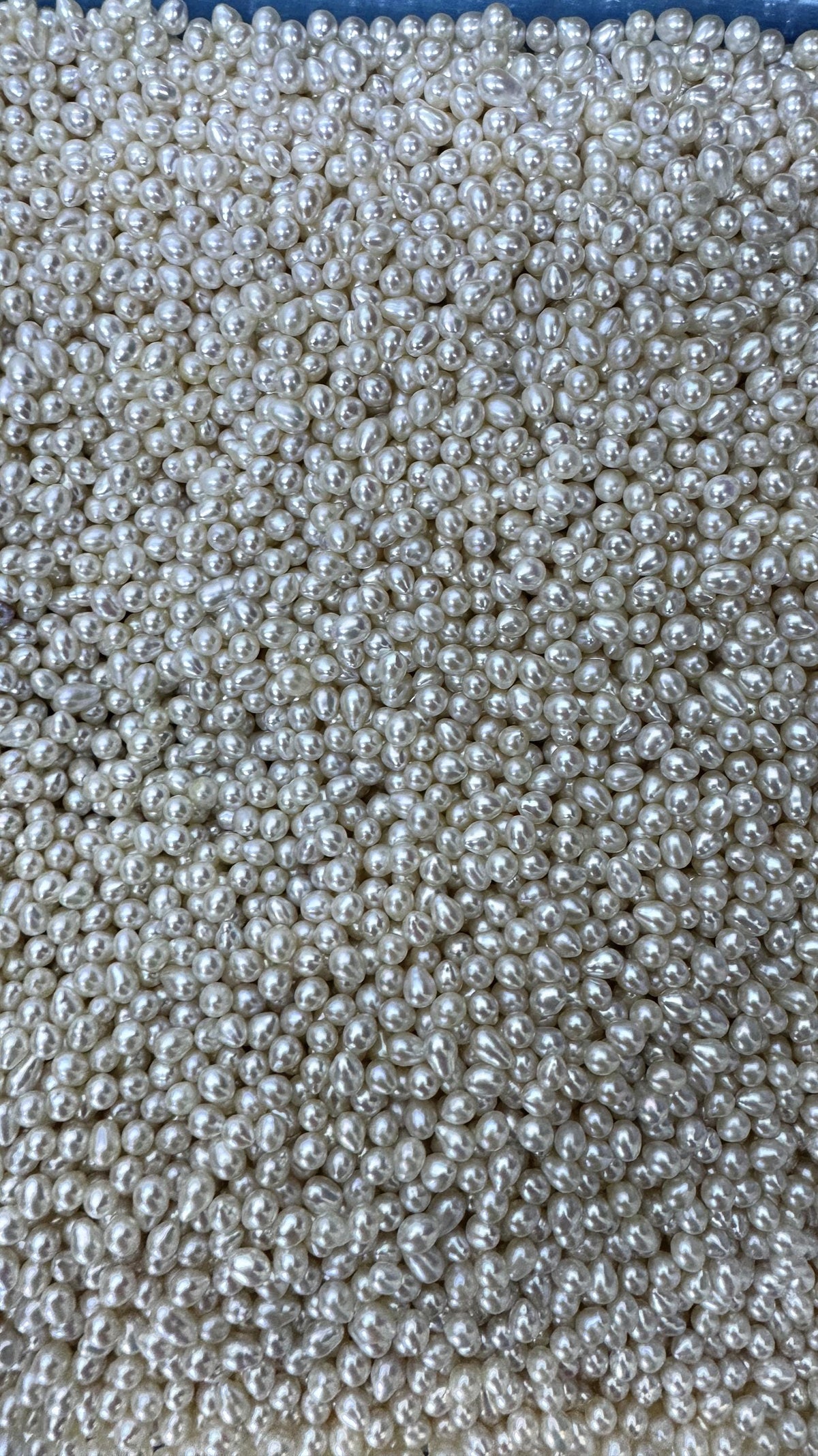50pcs AAA 4-5mm white rice freshwater pearls,no hole,LR4-T5