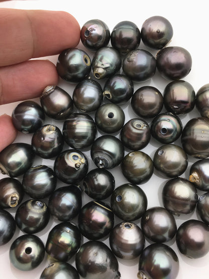 1pc 13-15mm huge big Green Black Tahitian Pearl Choker Necklace, Pearl Leather Necklace, Black Leather Pearl necklace, Le11-005