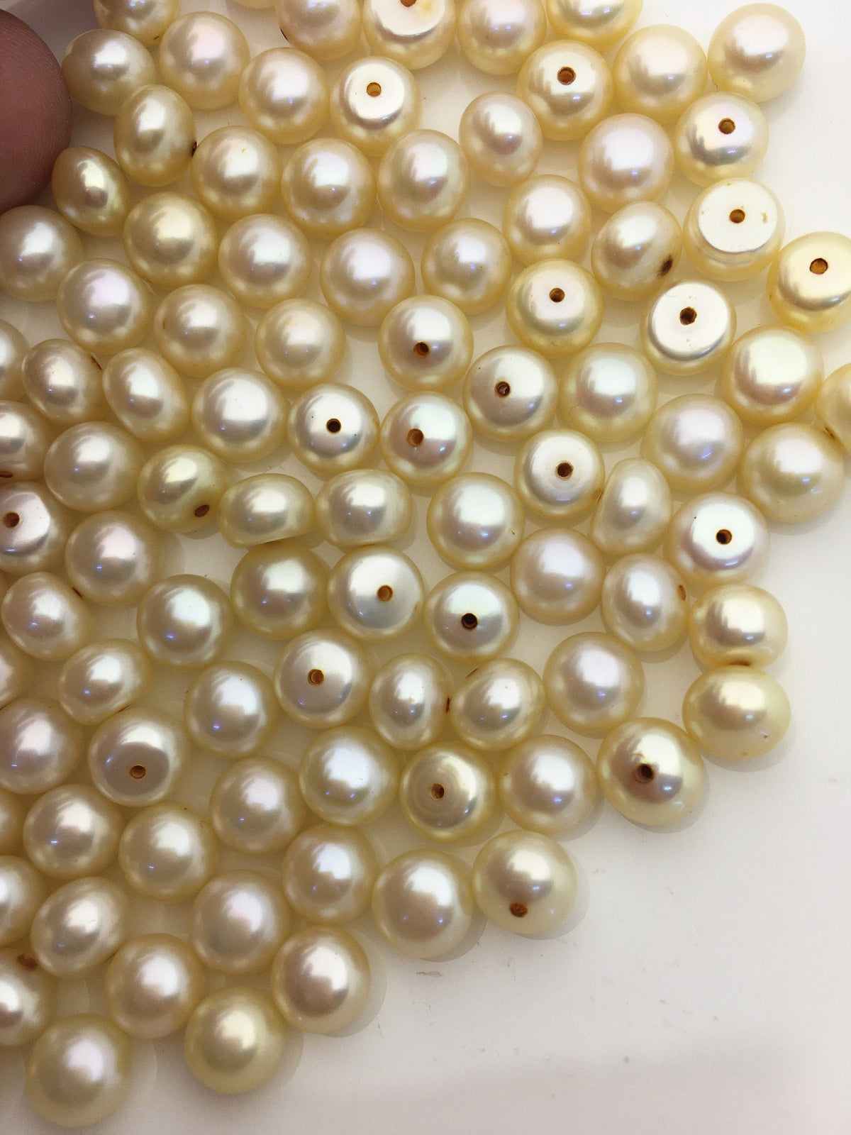 20pcs AAA 7-7.5mm light yellow button round freshwater pearl,half drilled,BTN7-T5