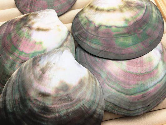 AAA+ big than 9cm Tahitian blacklip mother of pearl shell natural cut,One pc,tahitian Oyster,ASH-006-1