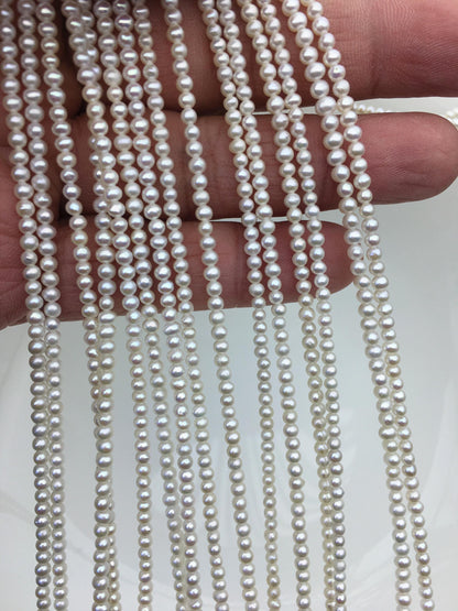 AA+ 2.5-3mm white seed pearls, white potato freshwater pearl, for pearl necklace, loose freshwater pearl, CR2-2A-1