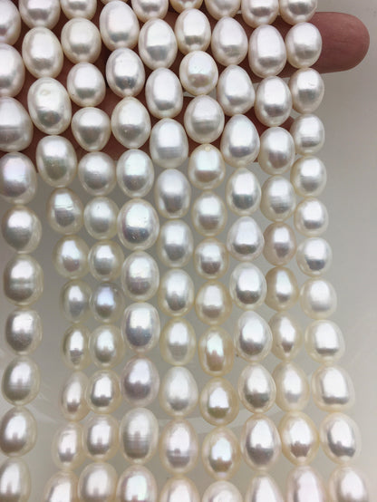 AA+ 9.4-10.4mm*11.5-13mm Oval Freshwater pearls,diy pearl beads,white rice pearl,LR10-2A-7