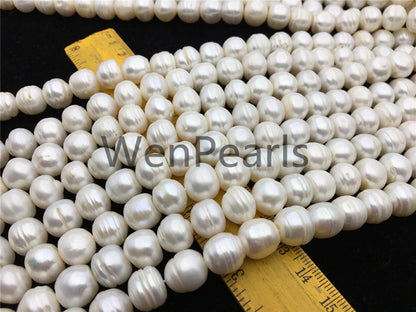 AA 11.2-12.2mm white button freshwater pearls, 2mm, 3mm large hole, Cultured pearl, diy pearl beads, gift for her, necklace, Christmas, SM12-2A-6