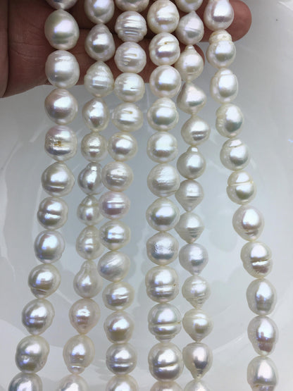 AA+ 9.5-12mm white big button round Edison Freshwater Pearl,ED12-2A-5-5