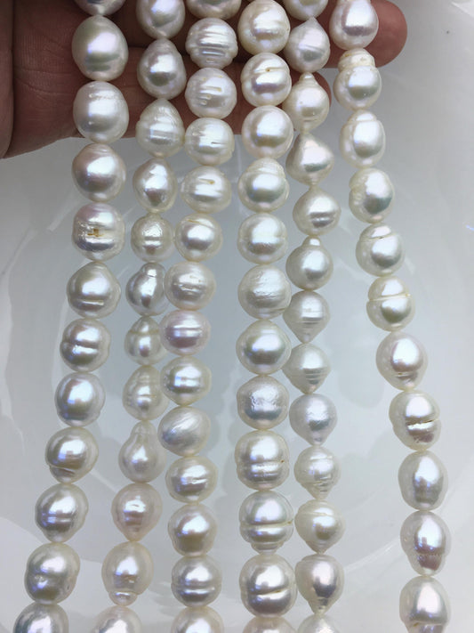 AA+ 9.5-12mm white big button round Edison Freshwater Pearl,ED12-2A-5-5