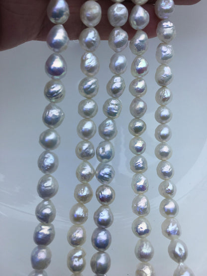 AA+ 7-9mm white baroque Edison Freshwater Pearl,ED12-2A-5-31