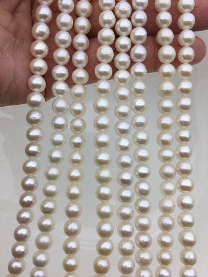 AA+ 6.4-7.3mm white round freshwater chinese pearls,RP7-2AY-BDa-1