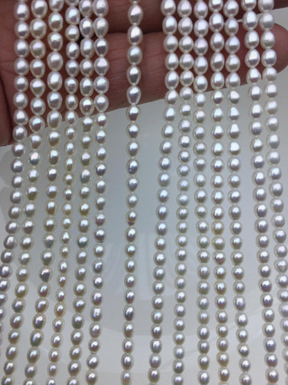 AAA 3.5-4x4-5mm white short rice pearls, full strand, oval loose pearl beads, diy pearl beads, genuine pearl, Cultured pearl, LR3-3A-33