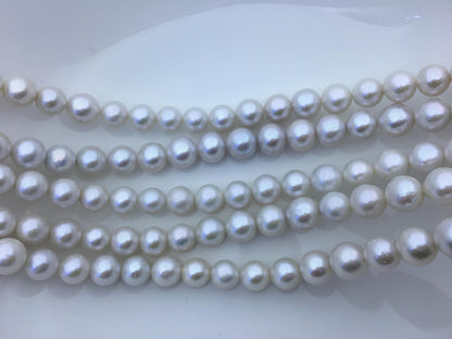 AA+ 10-12mm white near round Edison Freshwater Pearl,ED10-2A-2-68
