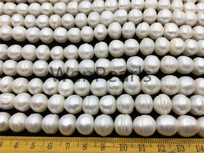 AA 11.2-12.2mm white button freshwater pearls, 2mm, 3mm large hole, Cultured pearl, diy pearl beads, gift for her, necklace, Christmas, SM12-2A-6