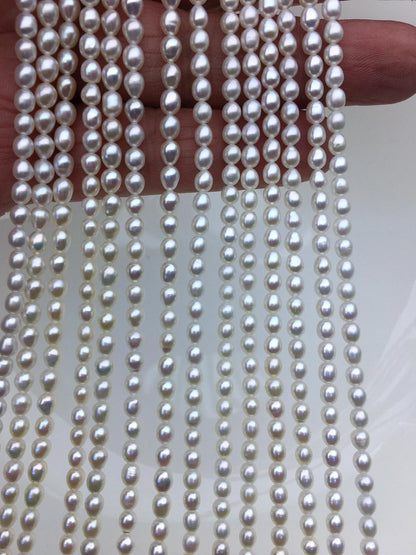 AAA 3.5-4x4-5mm white short rice pearls, full strand, oval loose pearl beads, diy pearl beads, genuine pearl, Cultured pearl, LR3-3A-33
