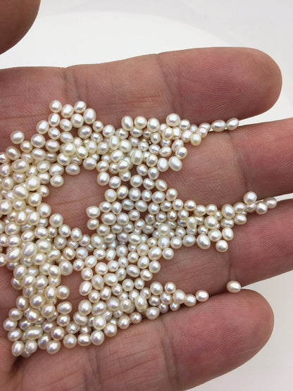 50pcs AAA 2.5-3mm white rice pearls,oval loose pearl beads,no hole,LR2-3A-6
