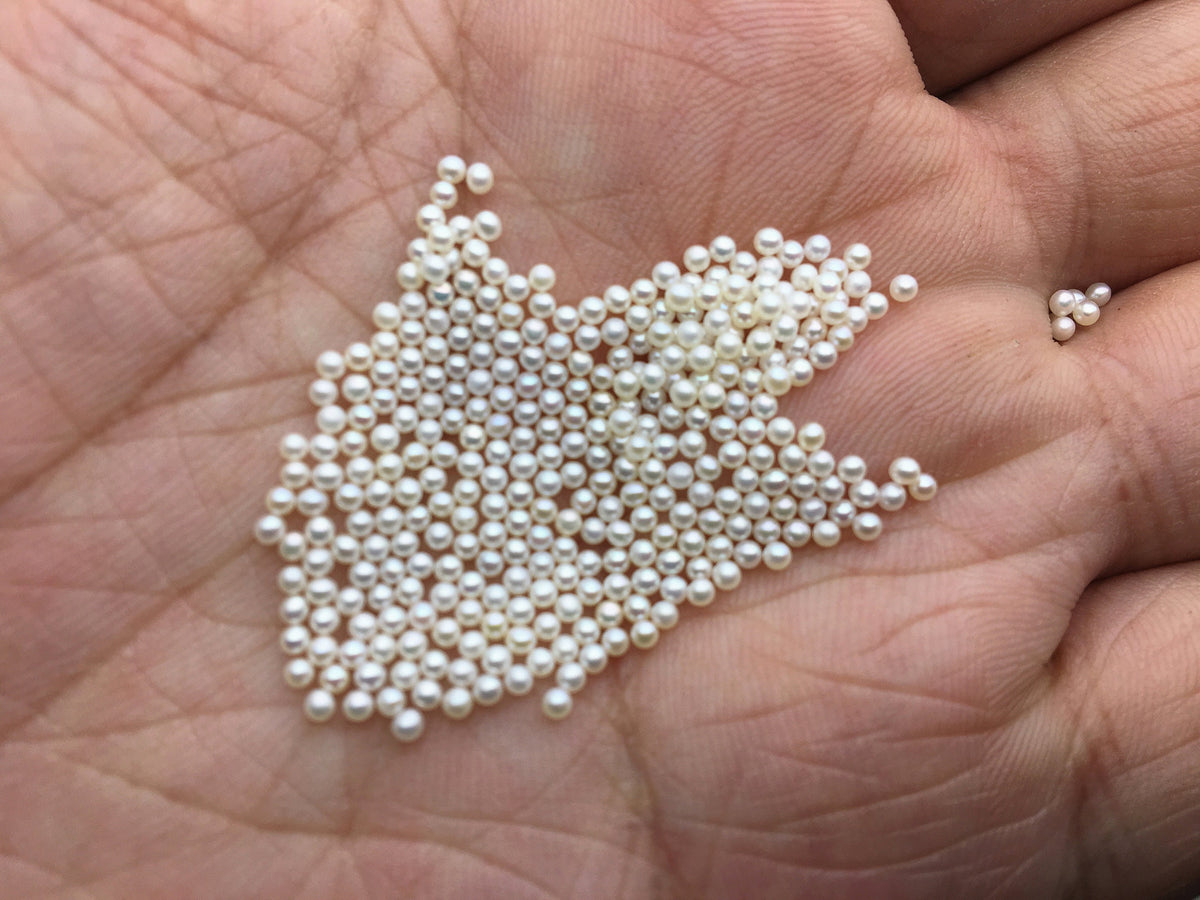 5pcs AAAA 1.5-1.7mm white round freshwater seed pearls, no hole, Cultured pearl, diy pearl beads, RP1-4A-3