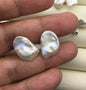 Rare!AAA 10/11/12/13/14/15mm BIG white Natural Long keshi Freshwater Pearl Stud Earrings, Stud Earrings for Women Girls, SE3-062