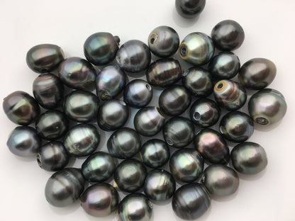 11-13mm big Single Drop Green Black Tahitian pearl Leather Cord bracelet, SELECT leather color, Pearl Leather bracelet, Le10-006