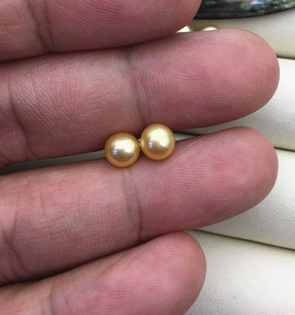 AAA 6mm to 9mm mustard yellow pearl earrings, Fall Fashion, Golden Yellow Freshwater Pearl Studs, Hypoallergenic, Contempo Jewelry, SE1-021