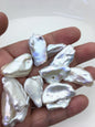10pcs AAA 14-19mm white thick biwa keshi Freshwater Pearls, no hole,ZS-80-1-39