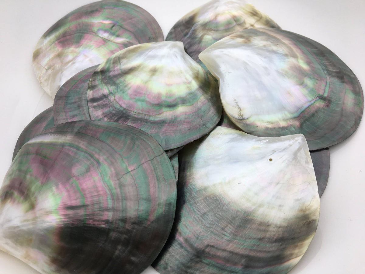 Big 9cm UP AA+ Tahitian black lip mother of pearl shell,ASH-006-4