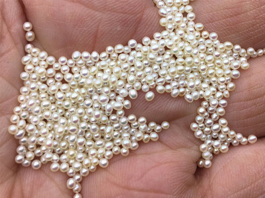 10pcs AAA 1.5-1.8mm white near round freshwater seed pearls, no hole, Cultured pearl, diy pearl beads, RP1-3A-8