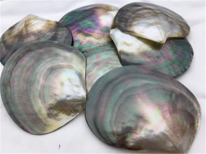AAA big than 9cm Tahitian blacklip mother of pearl shell natural cut,One pc,tahitian Oyster,ASH-006-2