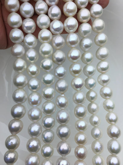 AA+ 10-12mm white oval near round Edison Freshwater Pearl,ED12-2A-5-37
