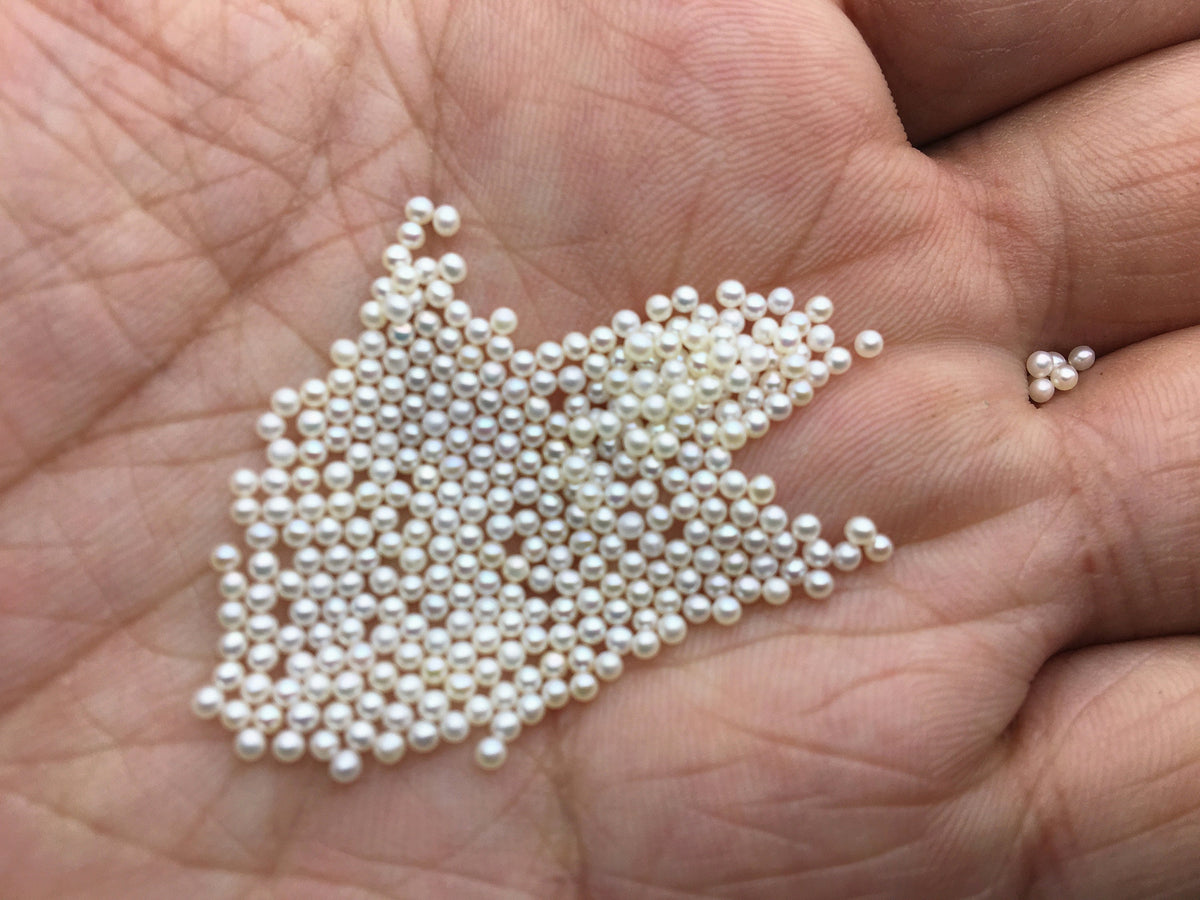 5pcs AAAA 1.5-1.7mm white round freshwater seed pearls, no hole, Cultured pearl, diy pearl beads, RP1-4A-3