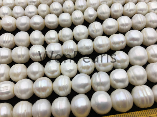 AA 11.2-12.2mm white button freshwater pearls, 2mm, 3mm large hole, Cultured pearl, diy pearl beads, gift for her, necklace, Christmas, SM12-2A-6