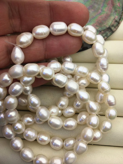 7 inchs AA+ 7.5-8.4mm white rice Freshwater pearl Elastic string Bracelet,rice pearl bracelet,B8-015