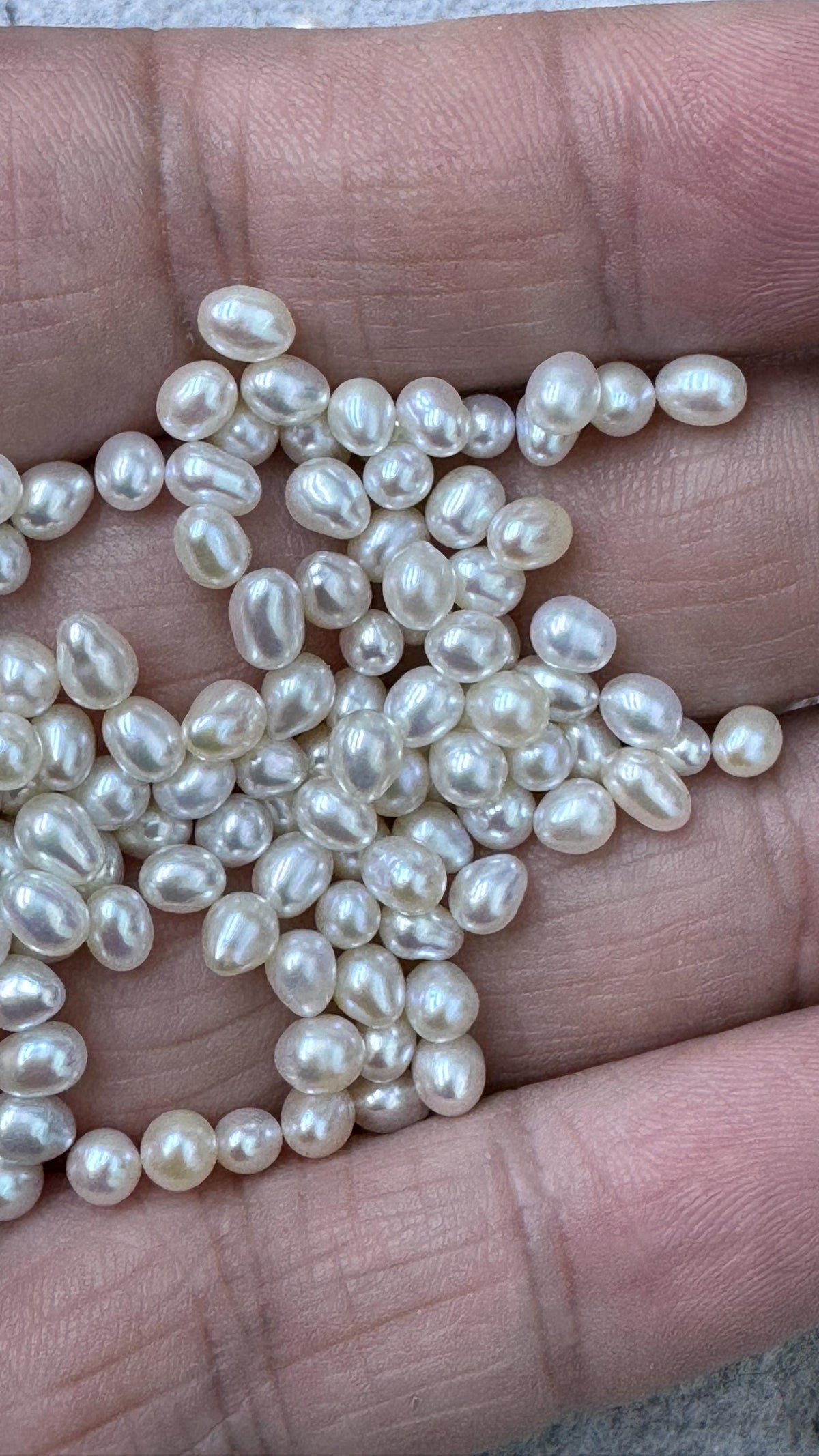 50pcs AAA 3.5-4 white rice freshwater pearls,no hole,LR3-T3
